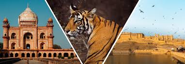 Golden Triangle with Tiger