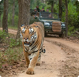 kanha National Park tour